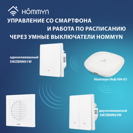 Вытяжка для ванной диаметр 100 мм Ballu BAF-EX 100 G в Москве